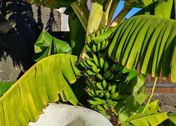 Marina1 Villa Playa Blanca (Lanzarote)