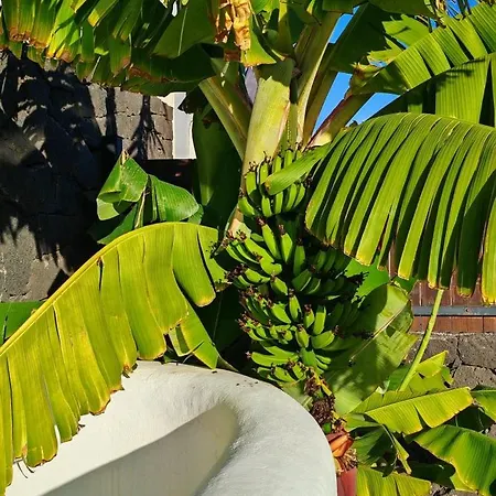 Marina1 Βίλα Πλάγια Μπλάνκα